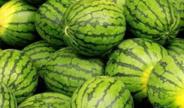 吃瓜爆料大赛聚集地,网络聚集地的风云变幻